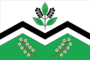 Flag of Moshkovo.png