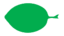 Leaf morphology obtuse.png