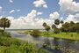 Looking toward the Myakka river.jpg