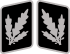 SS-Brigadeführer Collar Rank.svg
