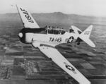 T-6 Texan.jpg
