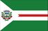 Bandeira Rio Verde(Goiás).jpg