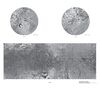 Map iapetus.jpg