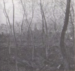 Monet - Wildenstein 1996, 1126.png