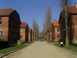 Bloki Auschwitz.jpg