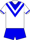 Canterbury home jersey 1966.svg