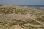 Dunes at Seaton Sands - geograph.org.uk - 164274.jpg