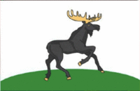 Flag of Cherdyn (Perm krai) (2009).gif
