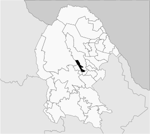 Nadadores en Coahuila.svg