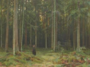 Shishkin Ivan The Forest of Countess Mordvinova 1891.jpg