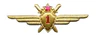 Знак военного летчика 1 класса образца 1950 года.jpg