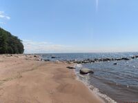 КОМАРОВСКИЙ БЕРЕГ - Северная Идиллия (4).JPG