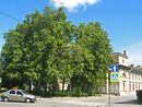 Кронштадт, ул. Зосимова, 24 - сад.jpg