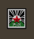 Ркка 1919саппрож.png