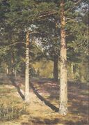 Сосны, освещенные солнцем (Шишкин).jpg