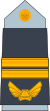 16. AAF-MG.svg