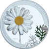 AM 1000 dram Ag 2010 Tanacetum b.png