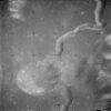 As15-81-10894.jpg