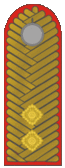 Belarus BKA 1944 parade - Hienieral liejtenant.gif