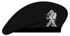 Berete MPAB.png