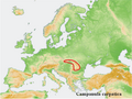 Distribution map Campanula carpatica.png