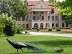 Kozłówka-pałac.JPG