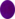 Nappina viola.png