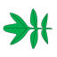 Pennatiséquée.svg
