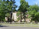 Petergof june2013 22062.JPG