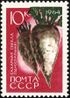 The Soviet Union 1964 CPA 3067 stamp (Agricultural Crops of the USSR. Sugar beet or white beet (Beta vulgaris subsp. vulgaris)).jpg