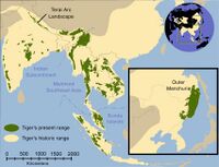 Tiger map.jpg
