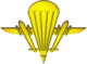 Емблема аеромобільних військ (2007).png