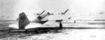 ANT-46.jpg
