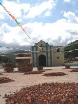 Chuao 002.JPG