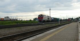 Freight trains on Ivanovo-Sortirovochnoe railway station june 2021.jpg