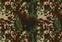 Japanese Winter Flecktarn.png