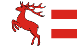 Флаг