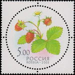 Russia stamp 2003 № 884.jpg