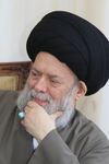 Sayed Mohammad Hussein Fadlallah.jpg