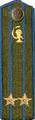погон 1943