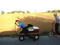 Amish - You looking at me by Gadjoboy.jpg