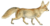 Dogs, jackals, wolves, and foxes (Plate XXXV).png