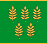 Флаг