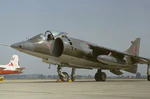 Hawker Siddeley Harrier GR1, UK - Air Force AN1365951.jpg