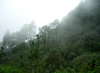 Oaxaca regiones sierra sur.png