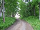 Oranienbaum Sady2012 4630.jpg