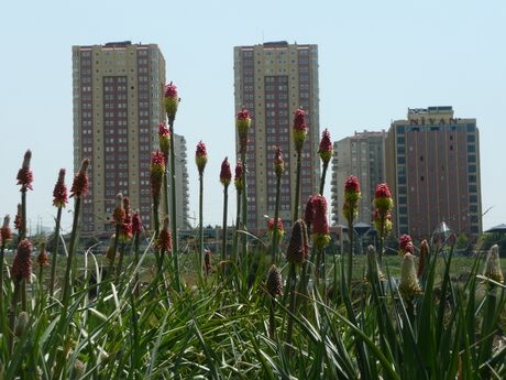Tema Nezahat Gokyigit Park 1060808 20080513134445.JPG