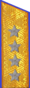 погон 1955