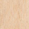 Balsa Wood Texture.jpg