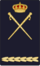 Cnpdivisme12.png